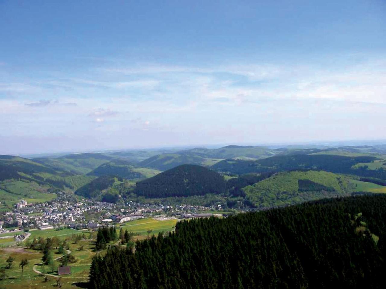 Fewo Penthaus-Blick ヴィリンゲン エクステリア 写真